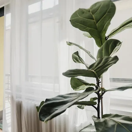 New 1bdr Modern Bauhaus Flat Lejlighed