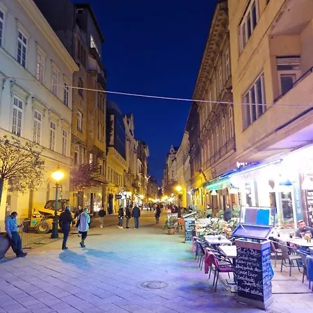New 1bdr Modern Bauhaus Flat Budapest